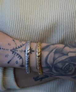 Alternative view of Stellar Silver